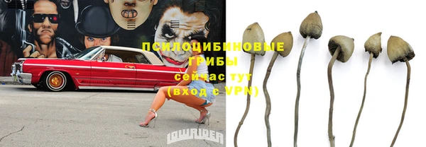каннабис Абаза