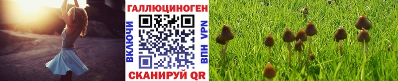Галлюциногенные грибы мицелий Собинка